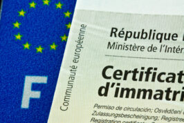 plaque immatriculation, carte grise